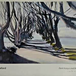 Dark Hedges and Shadows, Lisa Ballard